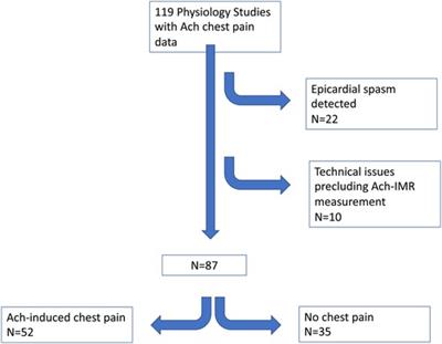 The relationships between acetylcholine-induced chest pain, objective measures of coronary vascular function and symptom status